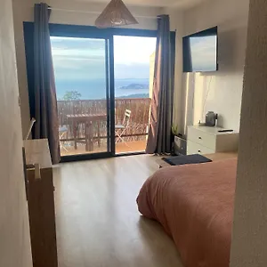 Vue Avec Piscine Milieu La Croix-Valmer